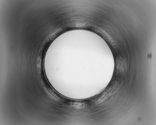 X0000103450542200810031438