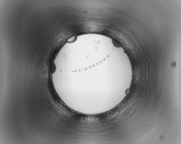 X0000103450546200810031438