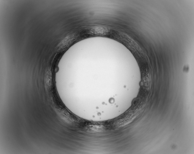 X0000103450552200810031438