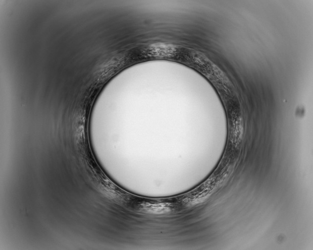 X0000103450553200810031438