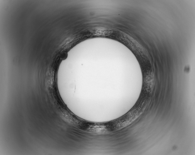 X0000103450554200810031438