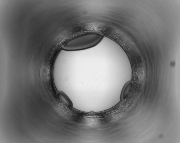 X0000103450556200810031438