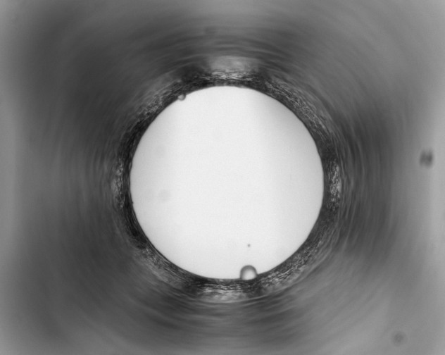 X0000103450559200810031438