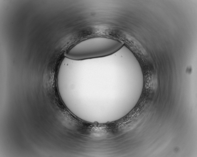 X0000103450560200810031438