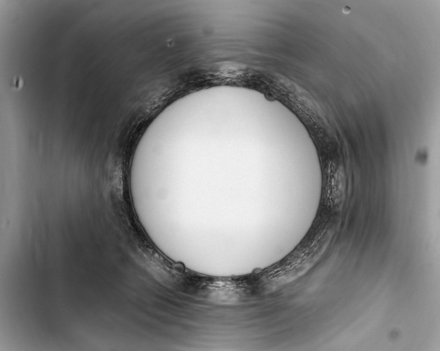 X0000103450562200810031438