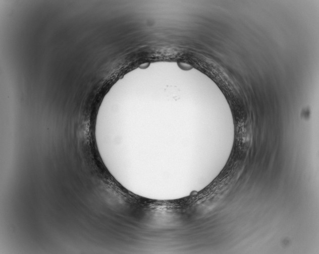 X0000103450564200810031438