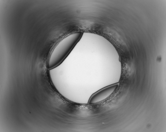 X0000103450566200810031438