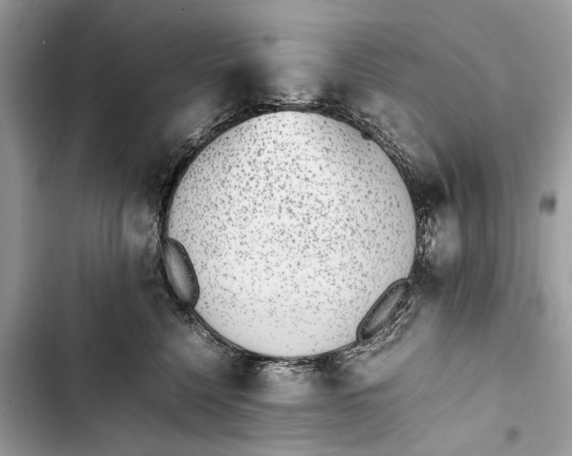 X0000103450568200810031438