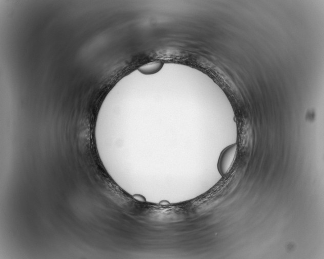 X0000103450569200810031438