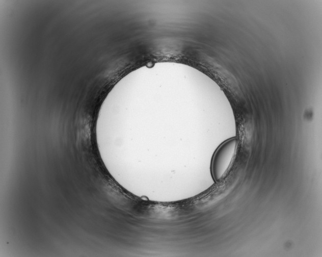 X0000103450570200810031438