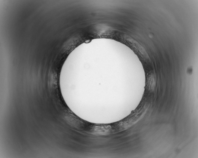 X0000103450571200810031438