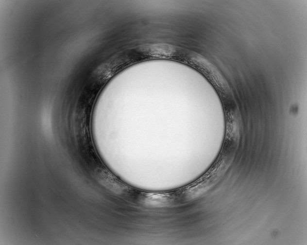 X0000103450573200810031438