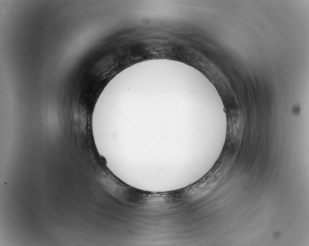 X0000103450574200810031438