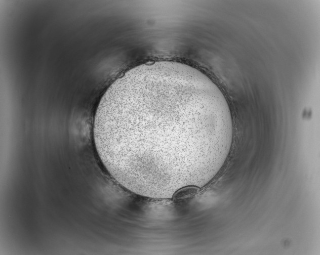 X0000103450576200810031438