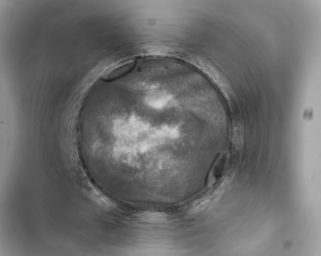 X0000103450577200810031438