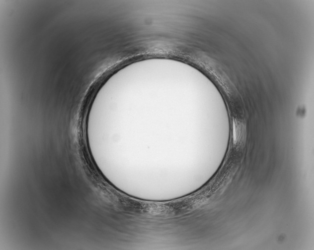 X0000103450579200810031438