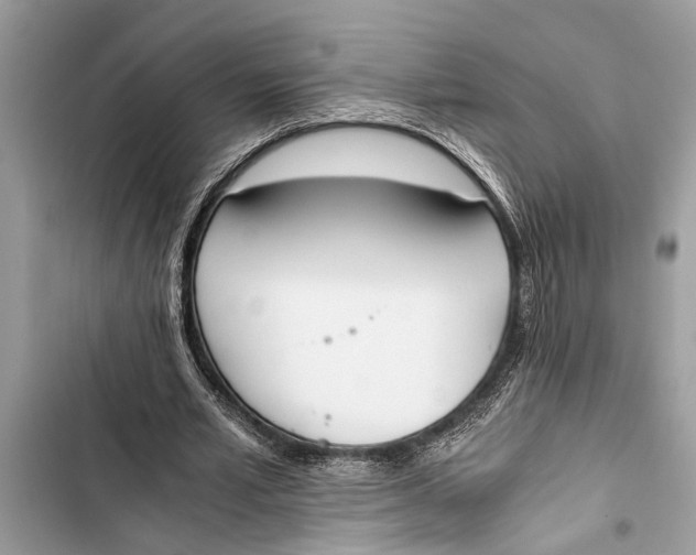 X0000103450581200810031438