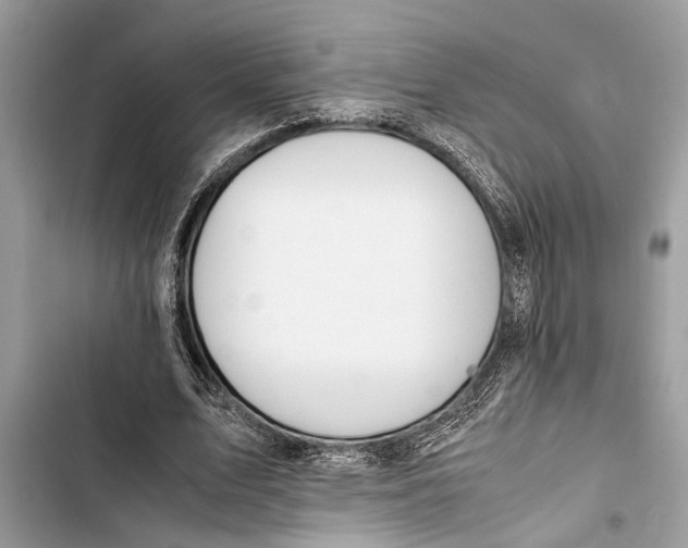 X0000103450583200810031438