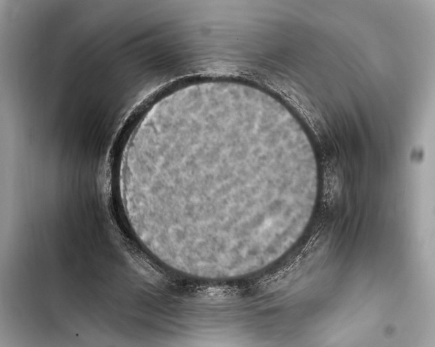 X0000103450584200810031438