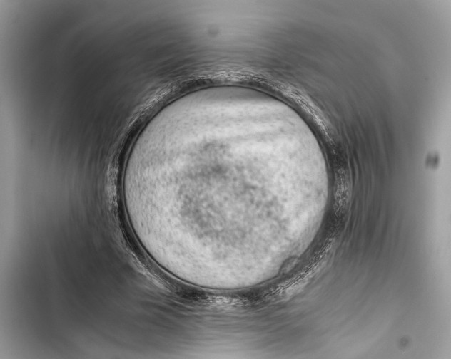 X0000103450585200810031437