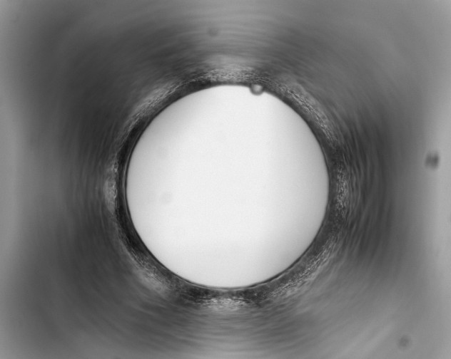 X0000103450586200810031437