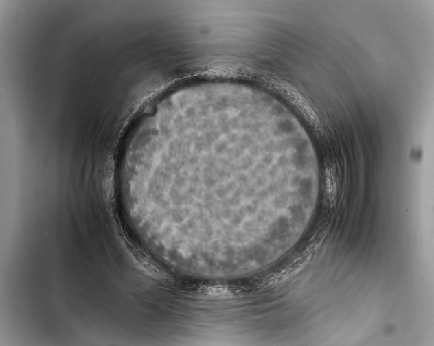 X0000103450588200810031437