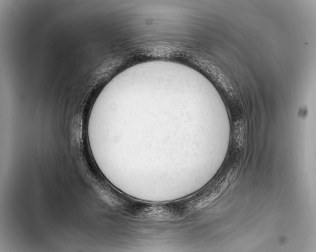 X0000103450589200810031437