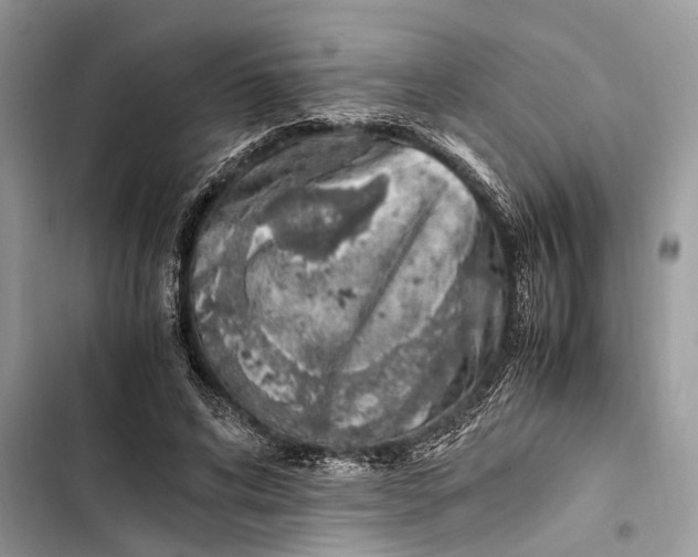 X0000103450592200810031437