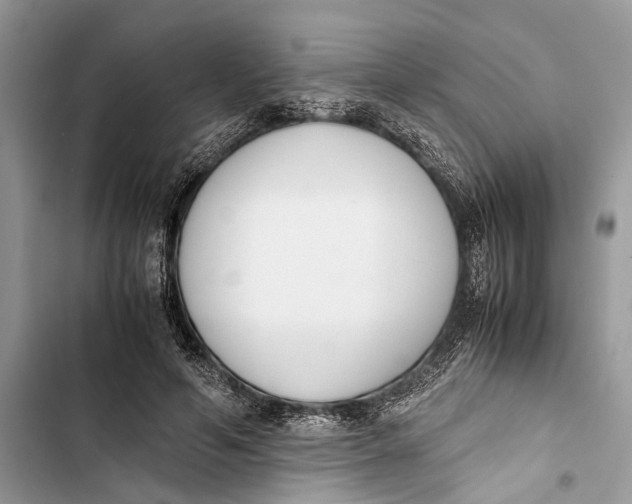 X0000103450594200810031437