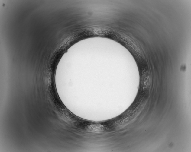 X0000103450595200810031437