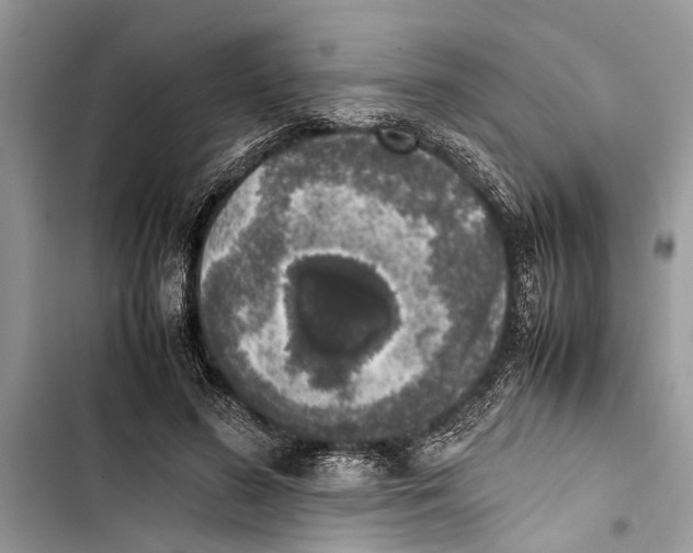 X0000103450596200810031437