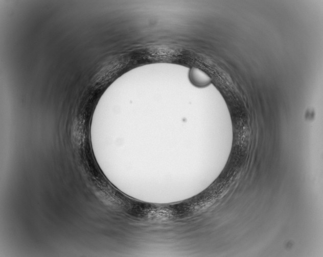 X0000103450599200810031437