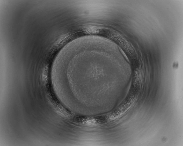 X0000103450600200810031437