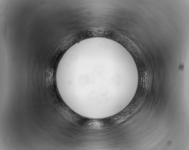 X0000103450610200810031437