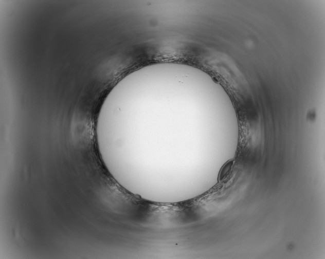 X0000103450621200810031437