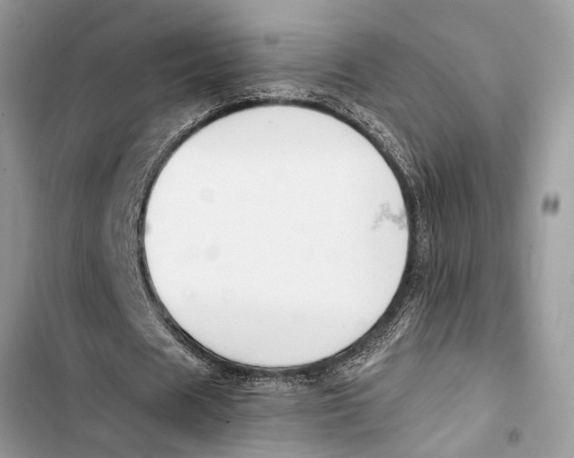 X0000103450625200810031436