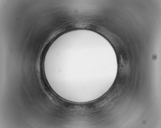 X0000103450626200810031436