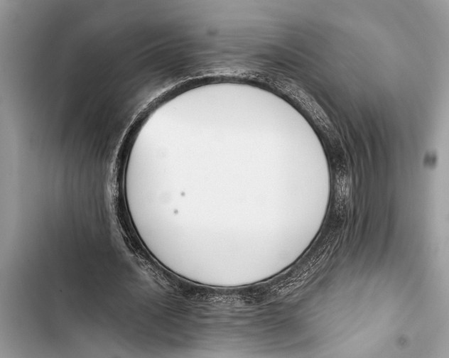 X0000103450628200810031436