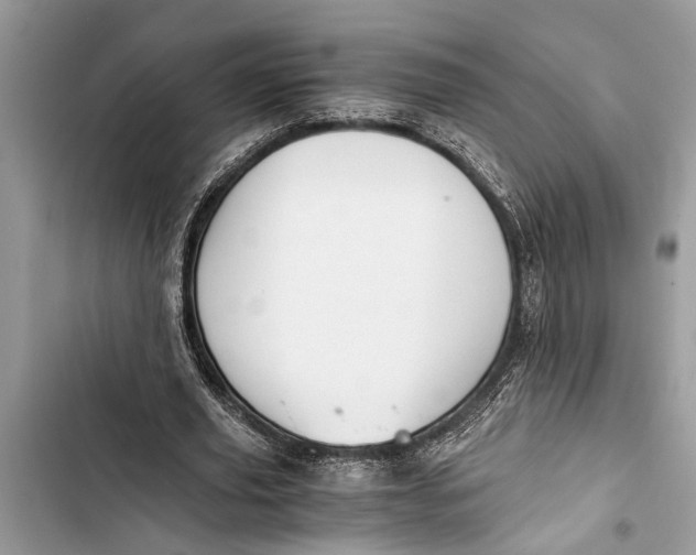 X0000103450629200810031436