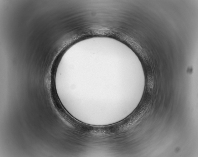 X0000103450630200810031436