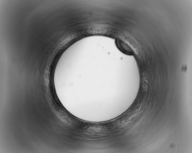 X0000103450631200810031436