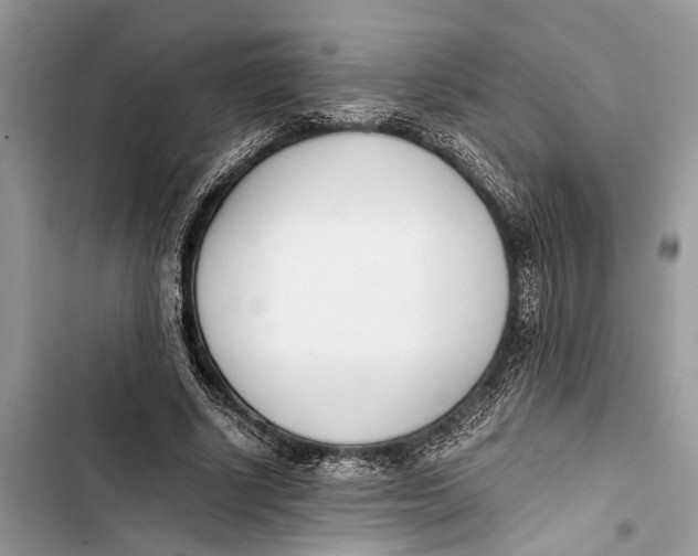 X0000103450634200810031436