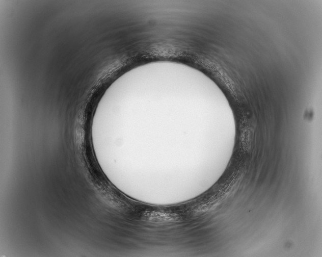 X0000103450635200810031436