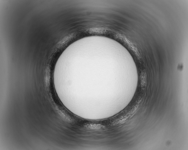 X0000103450637200810031436