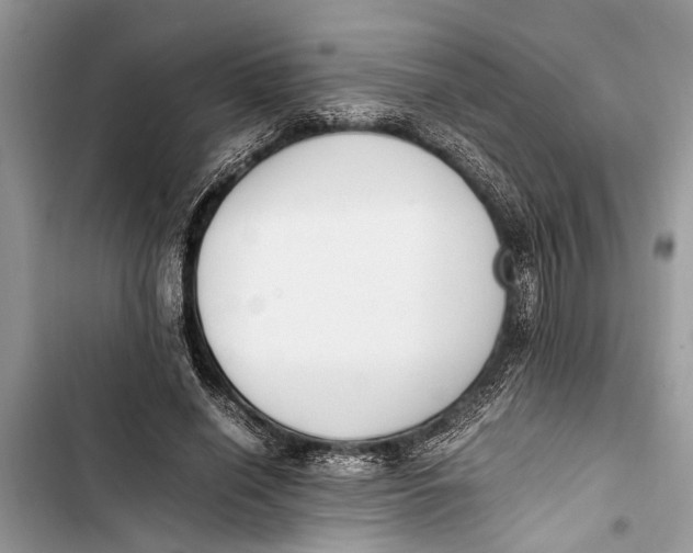 X0000103450638200810031436