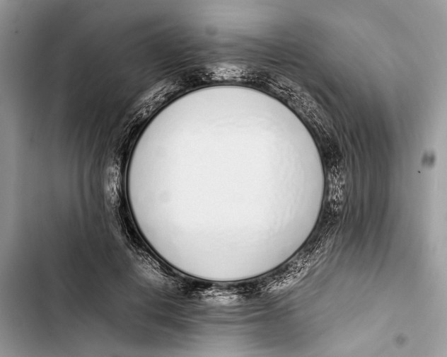 X0000103450648200810031437