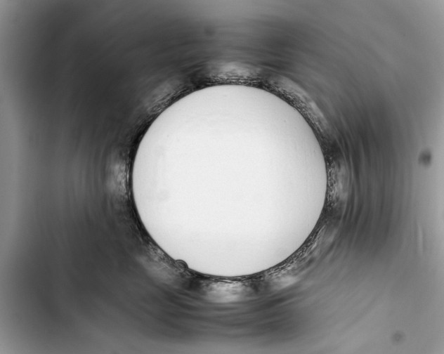 X0000103450669200810031437