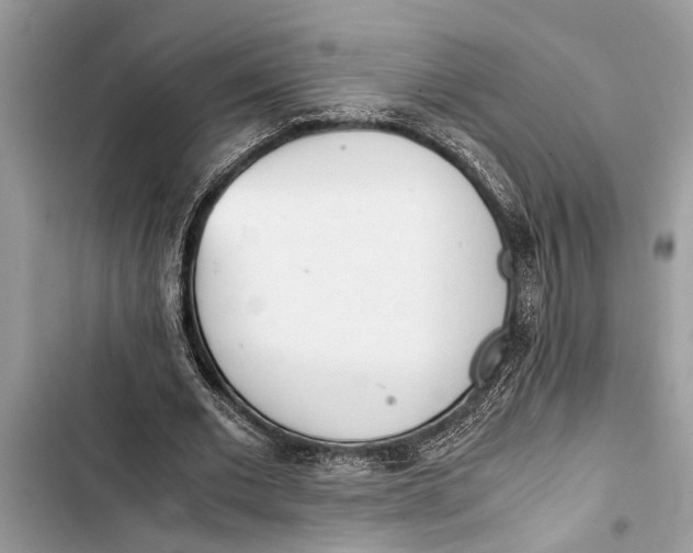 X0000103450677200810031436