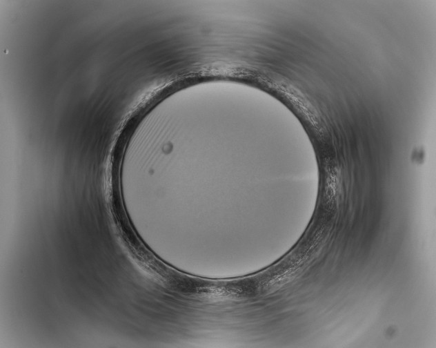 X0000103450678200810031436