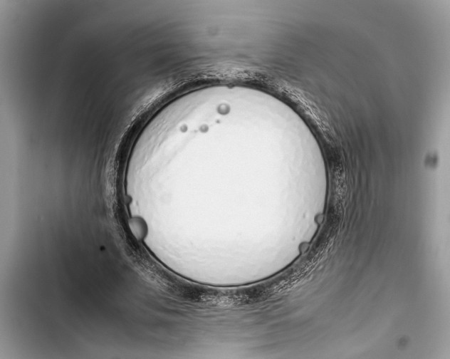 X0000103450679200810031436